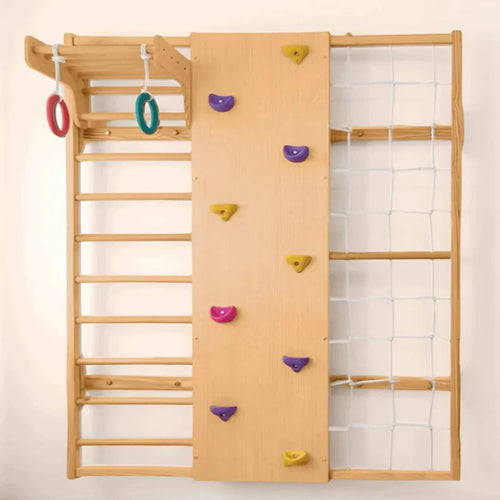 Curious Cub Wall Mounted Jungle Gym