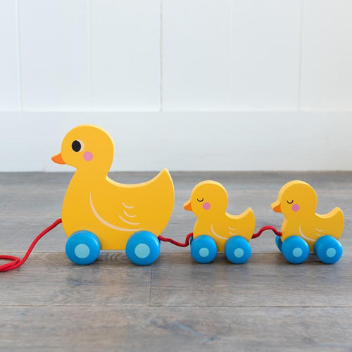 Pull Along Duck Toy
